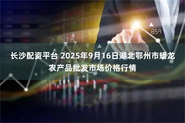 长沙配资平台 2025年9月16日湖北鄂州市蟠龙农产品批发市场价格行情