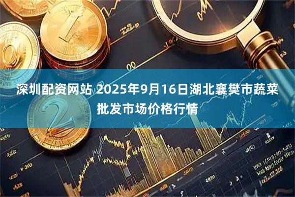 深圳配资网站 2025年9月16日湖北襄樊市蔬菜批发市场价格行情