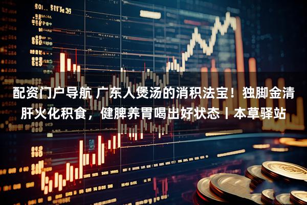 配资门户导航 广东人煲汤的消积法宝！独脚金清肝火化积食，健脾养胃喝出好状态丨本草驿站