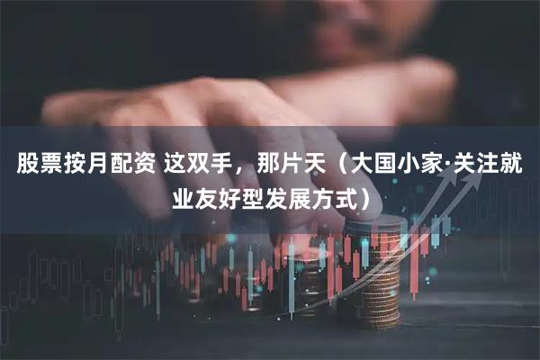 股票按月配资 这双手，那片天（大国小家·关注就业友好型发展方式）