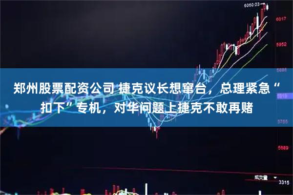 郑州股票配资公司 捷克议长想窜台，总理紧急“扣下”专机，对华问题上捷克不敢再赌