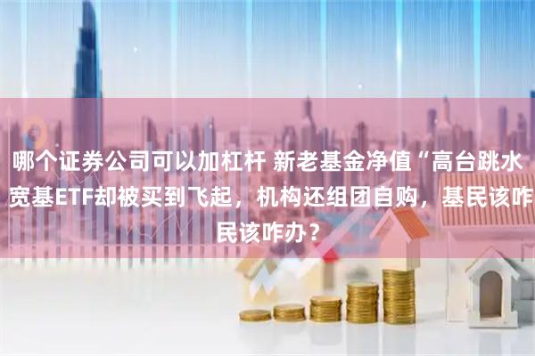 哪个证券公司可以加杠杆 新老基金净值“高台跳水”，宽基ETF却被买到飞起，机构还组团自购，基民该咋办？